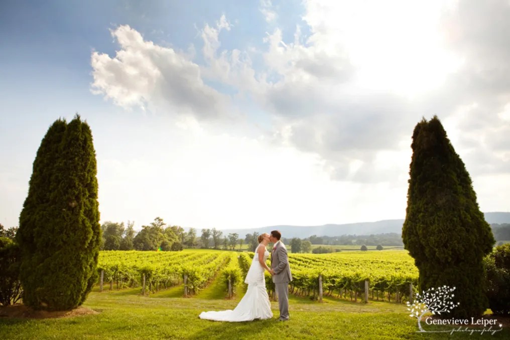 Breaux Vineyards #28
