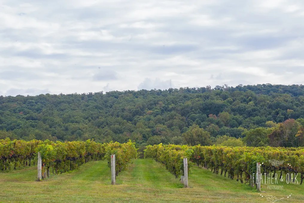 Breaux Vineyards #46