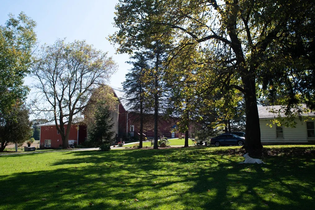 Sugar Island Barn #10