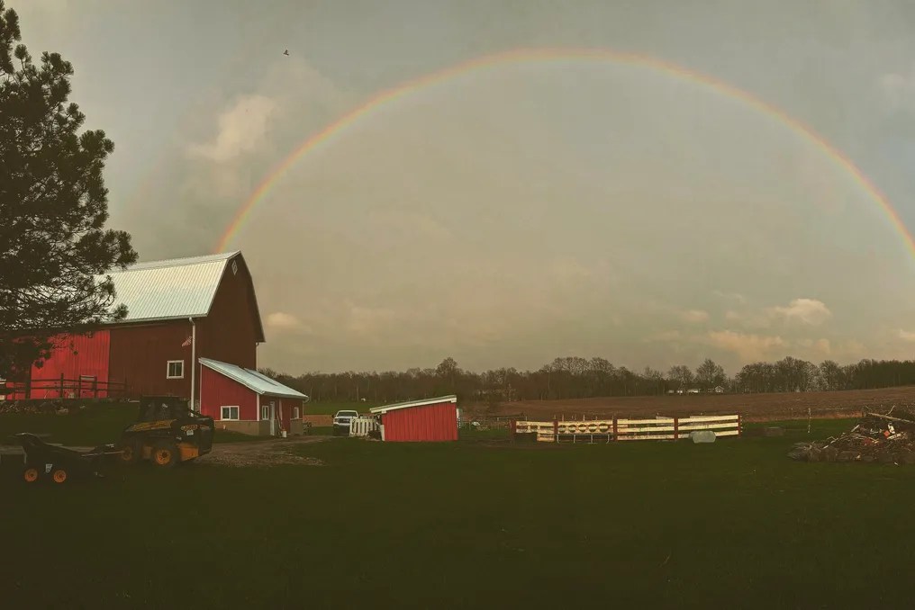 Sugar Island Barn #12
