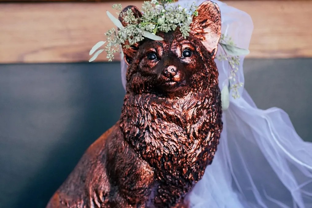 Copper Fox #43