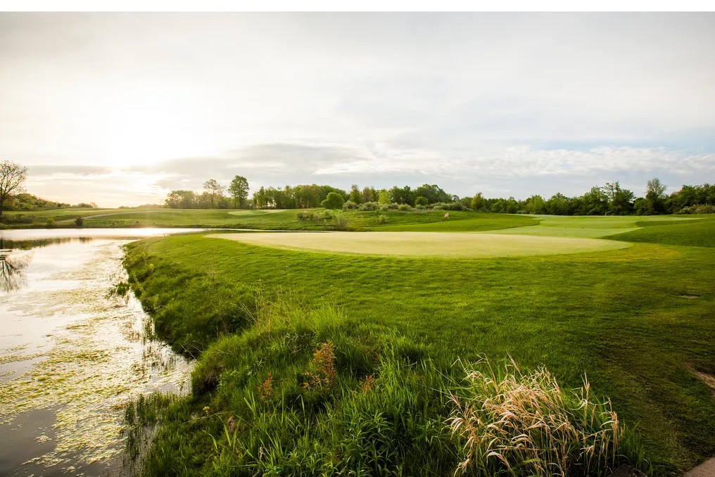 Quail Ridge #1