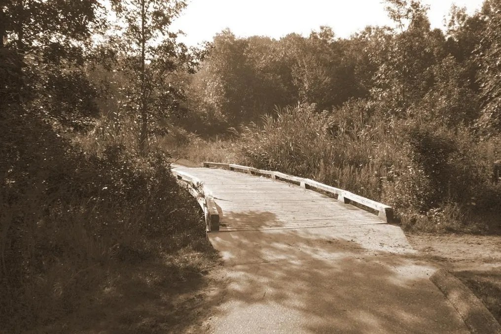 Quail Ridge #14