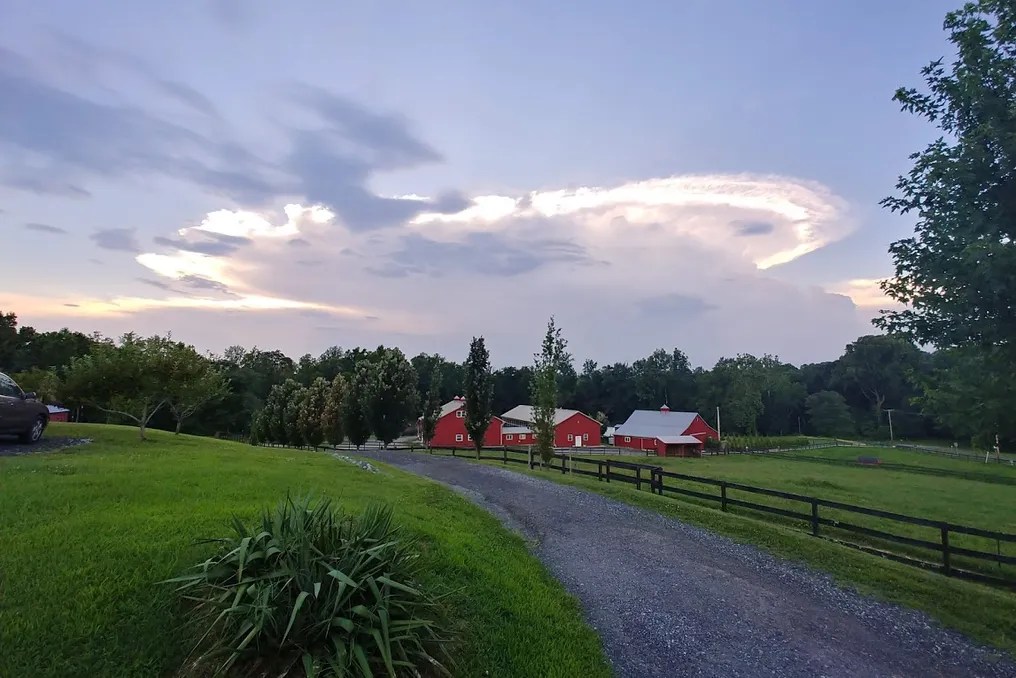 Tobacco Barn #1