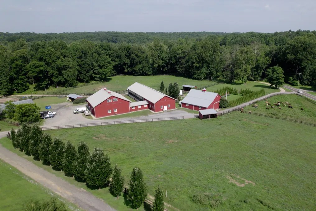 Tobacco Barn #7