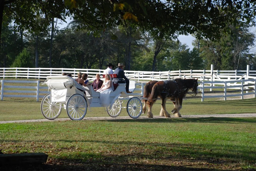 Bennett Bunn Plantation #4