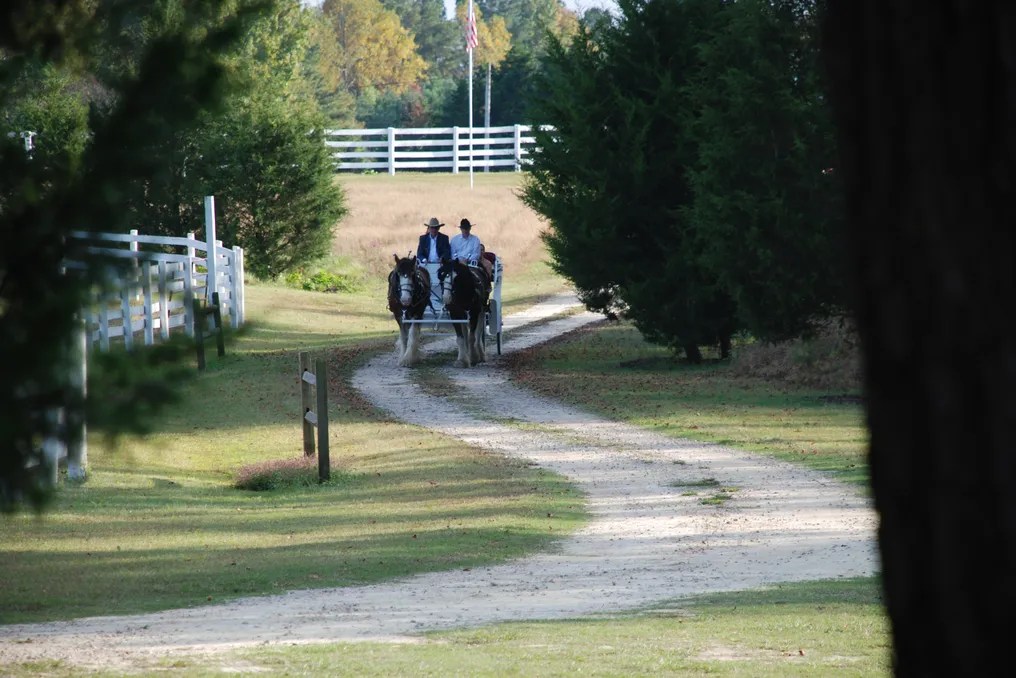 Bennett Bunn Plantation #5