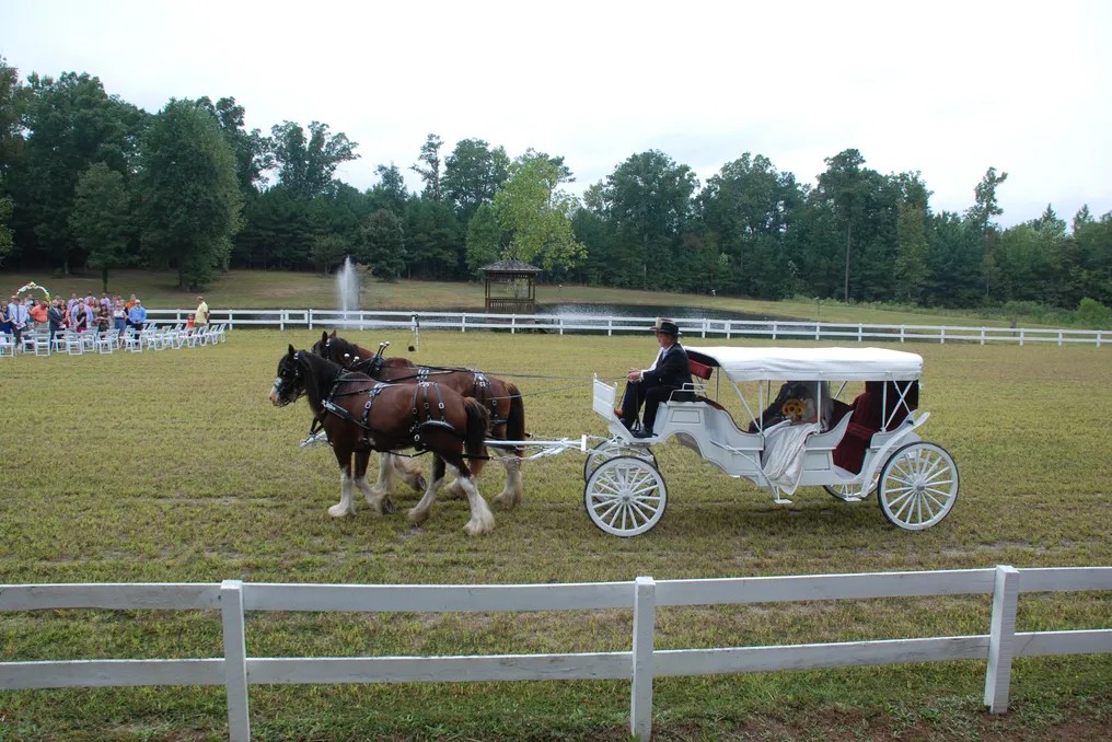 Bennett Bunn Plantation #6