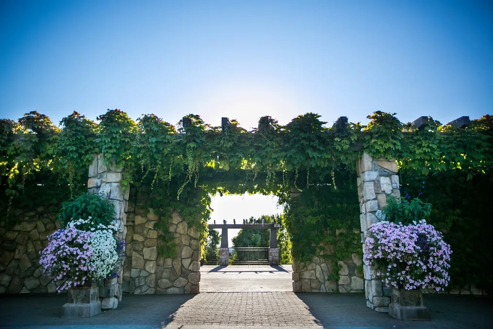 StoneTree Estate by Wedgewood Weddings #19