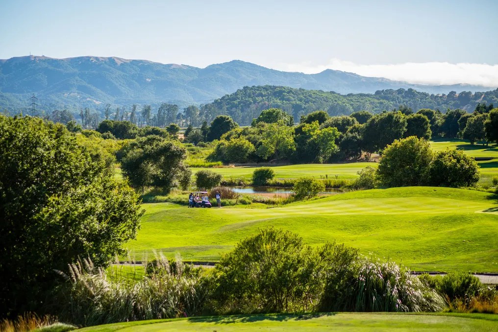 StoneTree Estate by Wedgewood Weddings #45