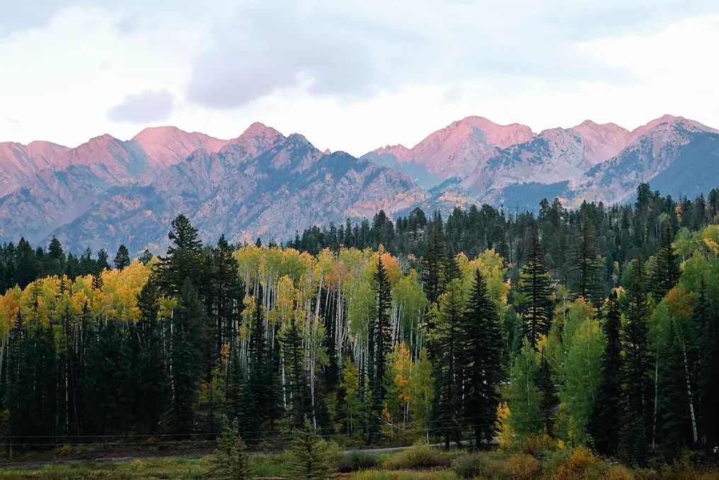 The Black Diamond Lodge #10