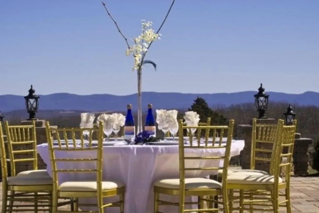 Virginia Mountain Vineyard #1