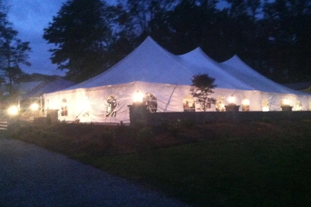 Virginia Mountain Vineyard #4