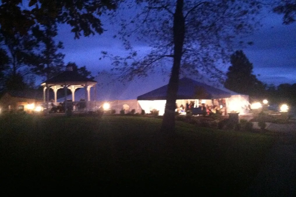 Virginia Mountain Vineyard #5