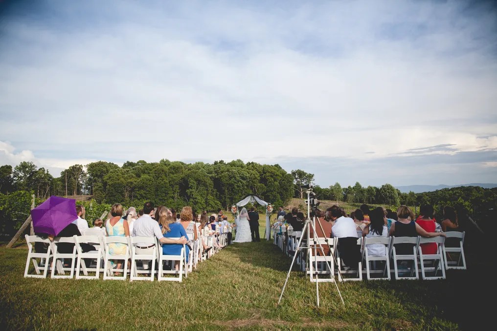 Virginia Mountain Vineyard #7