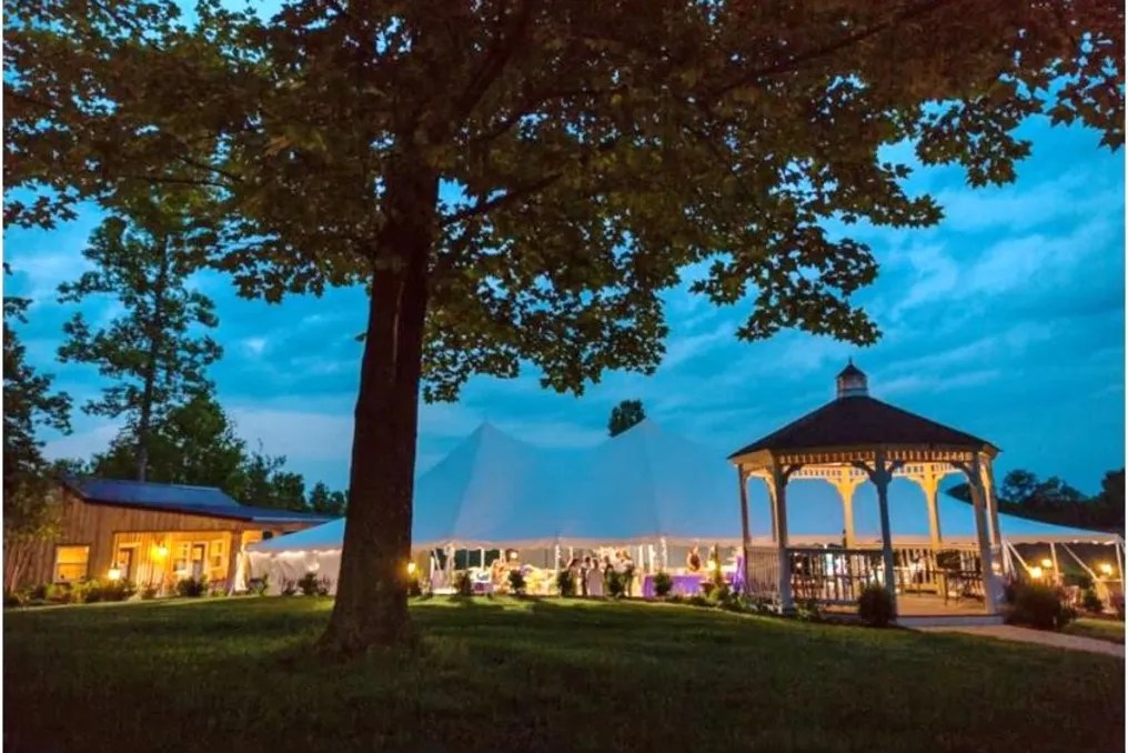 Virginia Mountain Vineyard #9