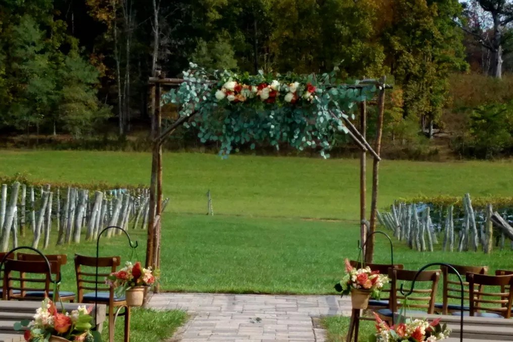 Virginia Mountain Vineyard #10
