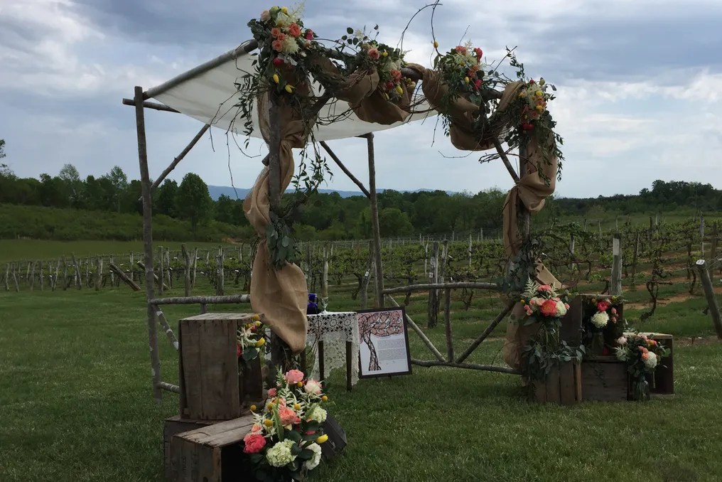 Virginia Mountain Vineyard #11