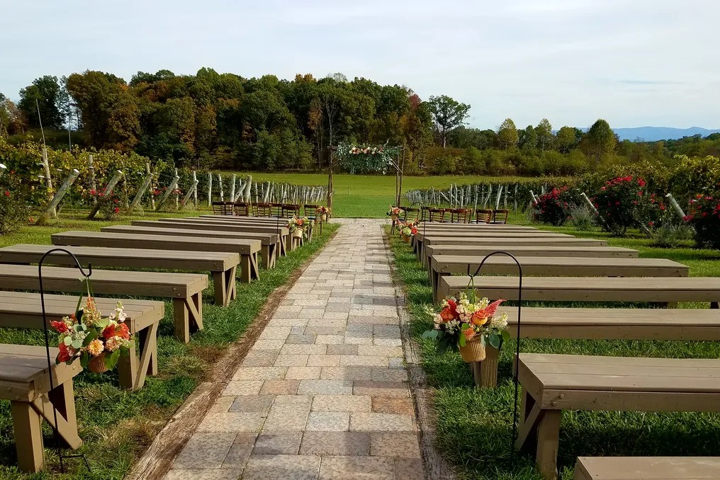 Virginia Mountain Vineyard #13