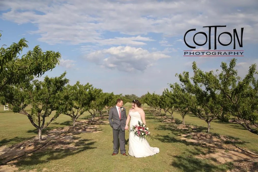 Denton Valley Farms #37