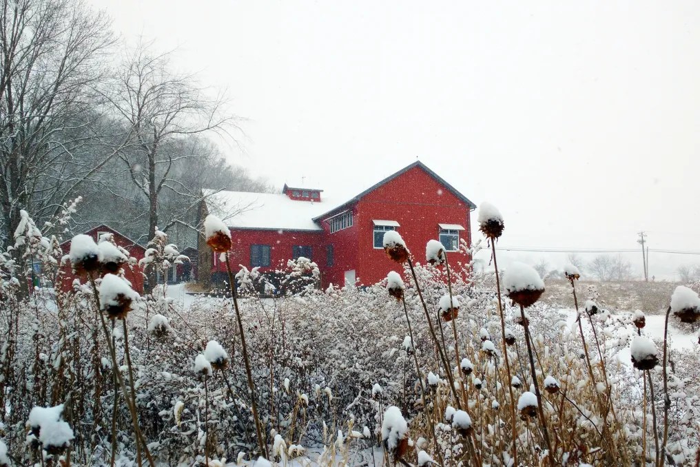 Stone Barn Farm and Vineyard #9