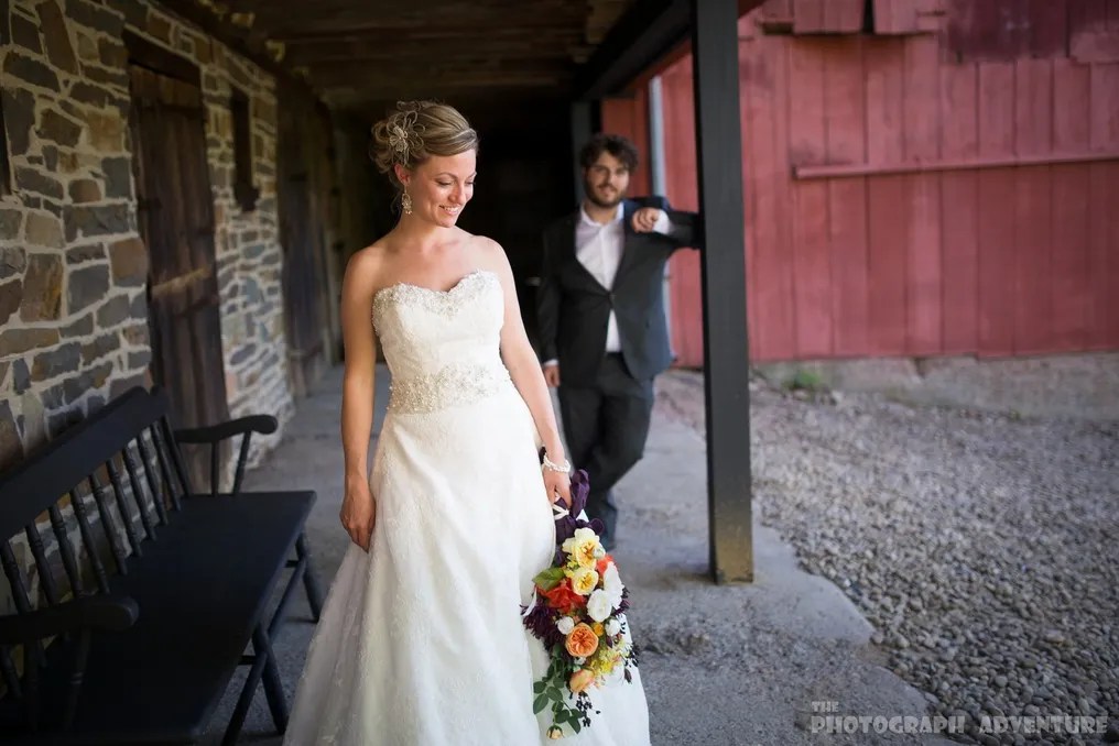 Stone Barn Farm and Vineyard #62