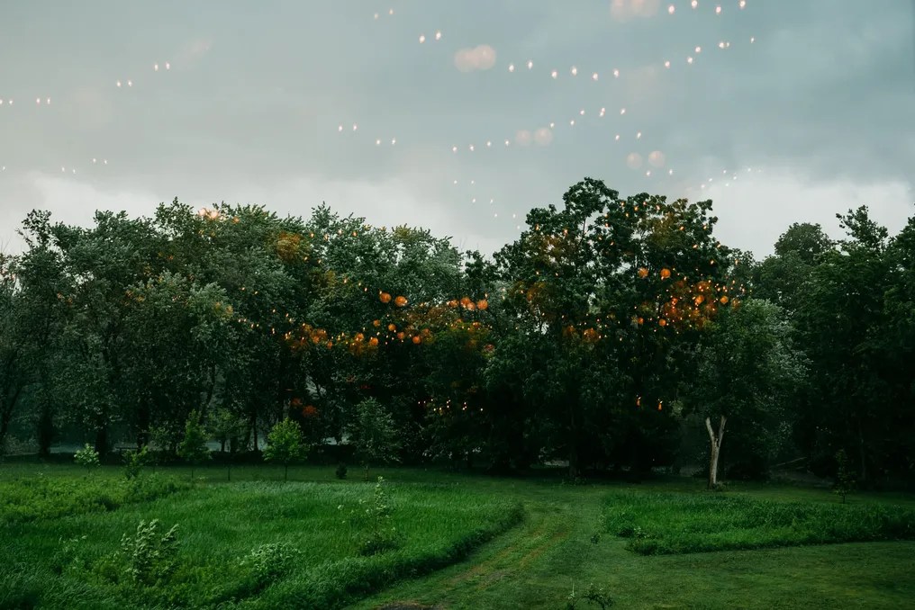 Stone Barn Farm and Vineyard #63