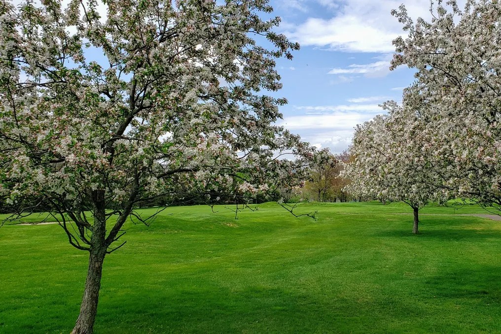 Valley Country Club #16