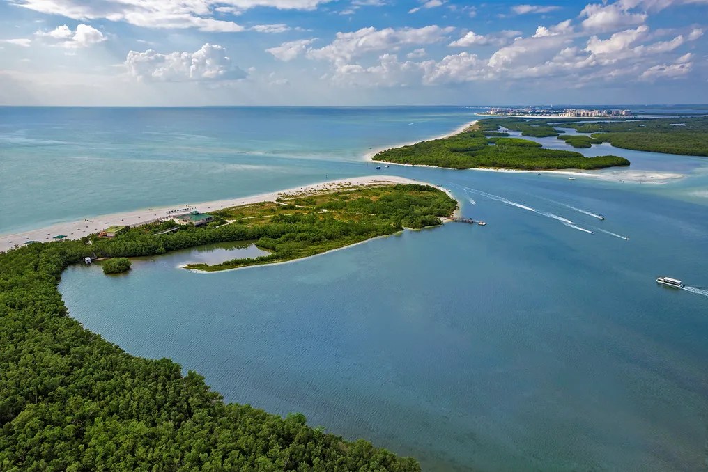 Hyatt Regency Coconut Point Resort & Spa #8