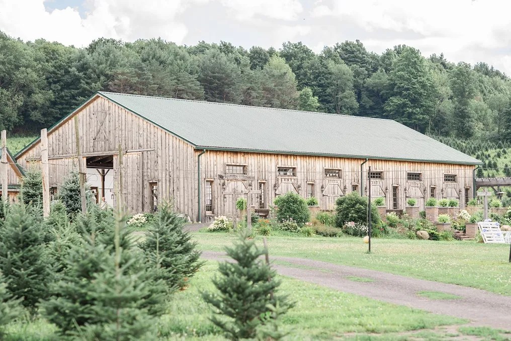 Springside Farm #1