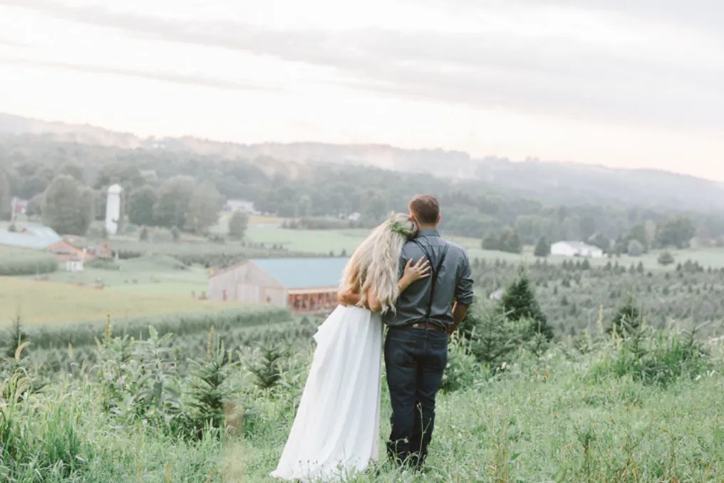 Springside Farm #10