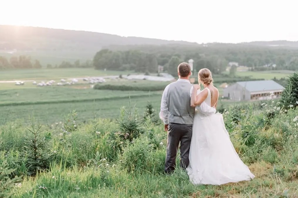 Springside Farm #17