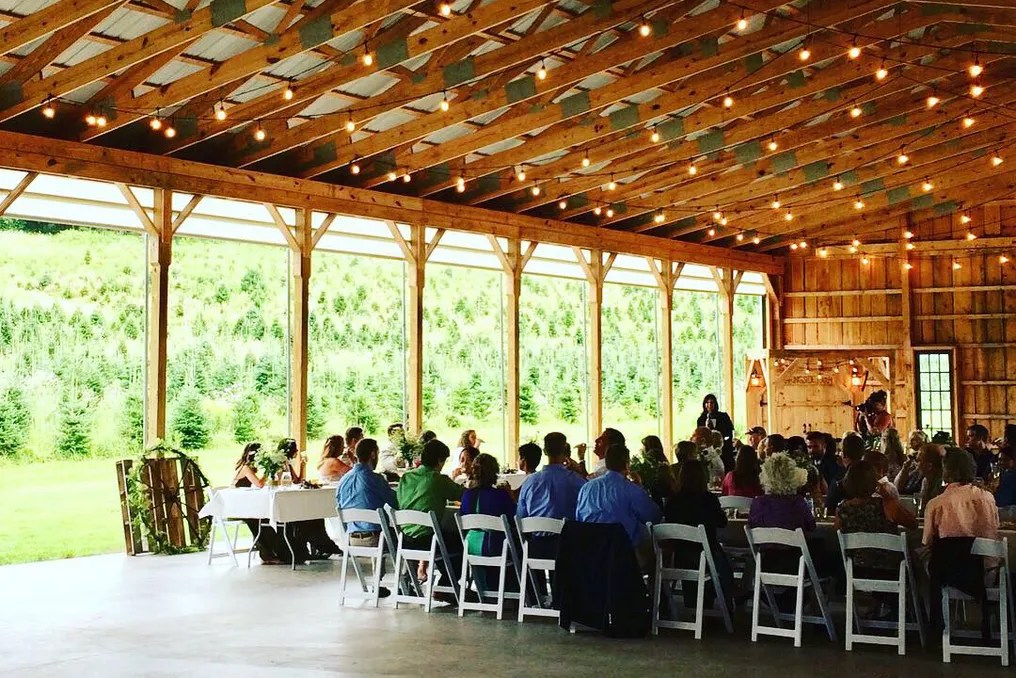 Springside Farm #19