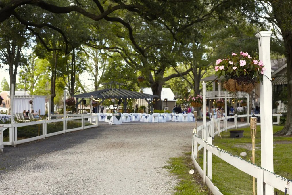 Chatsworth Plantation #12
