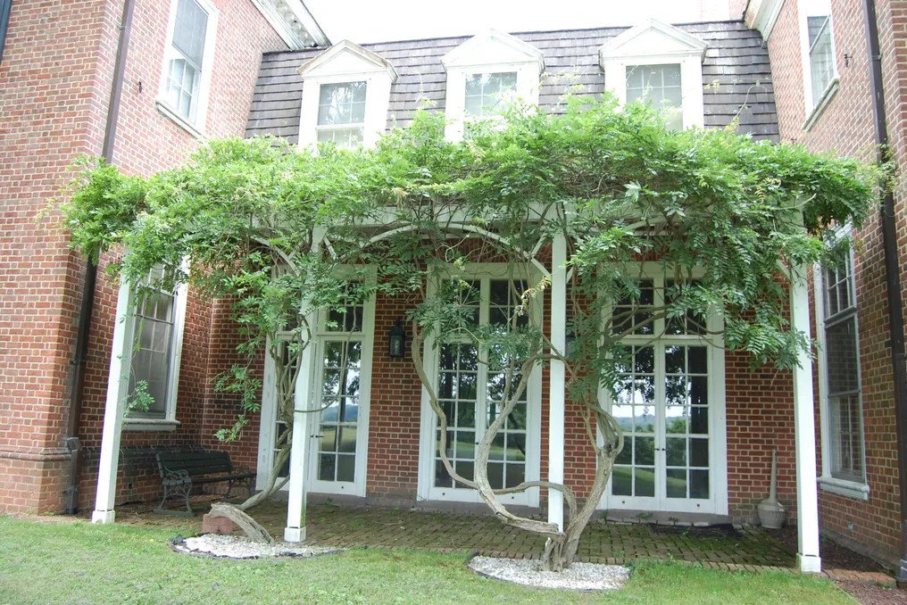 Donaldson Brown Center #23