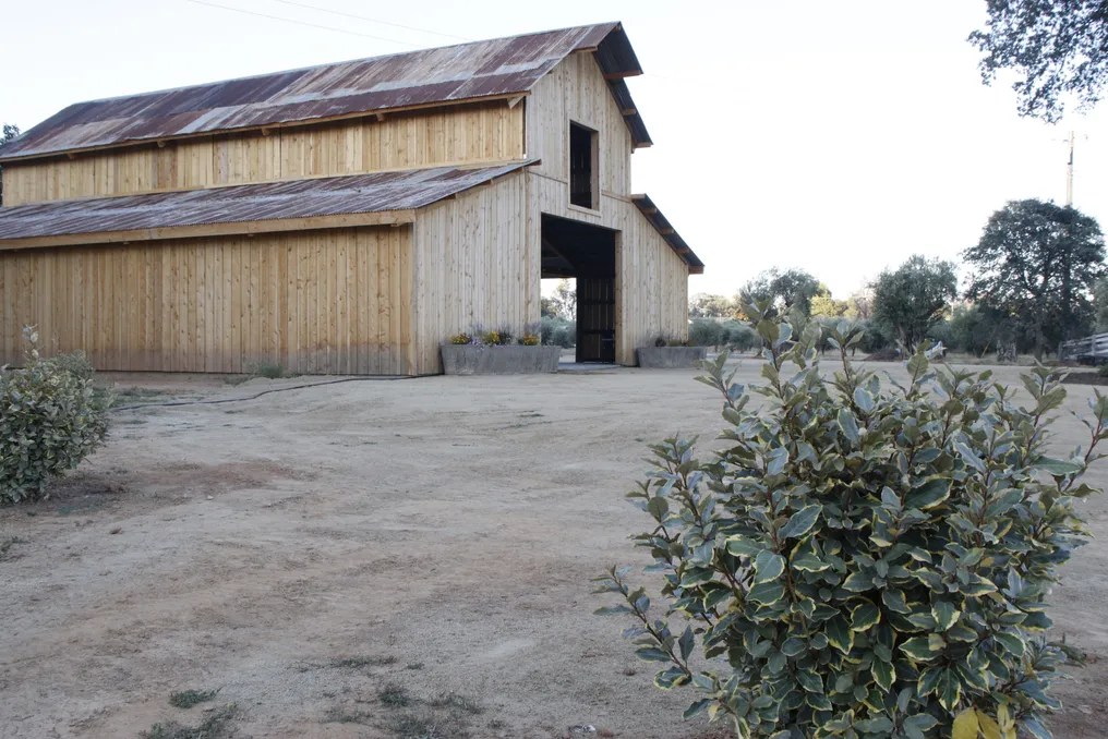 Serene Ranch #12