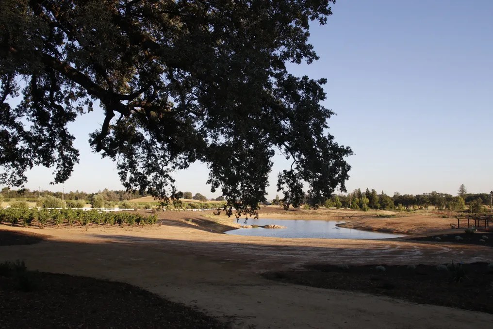 Serene Ranch #16