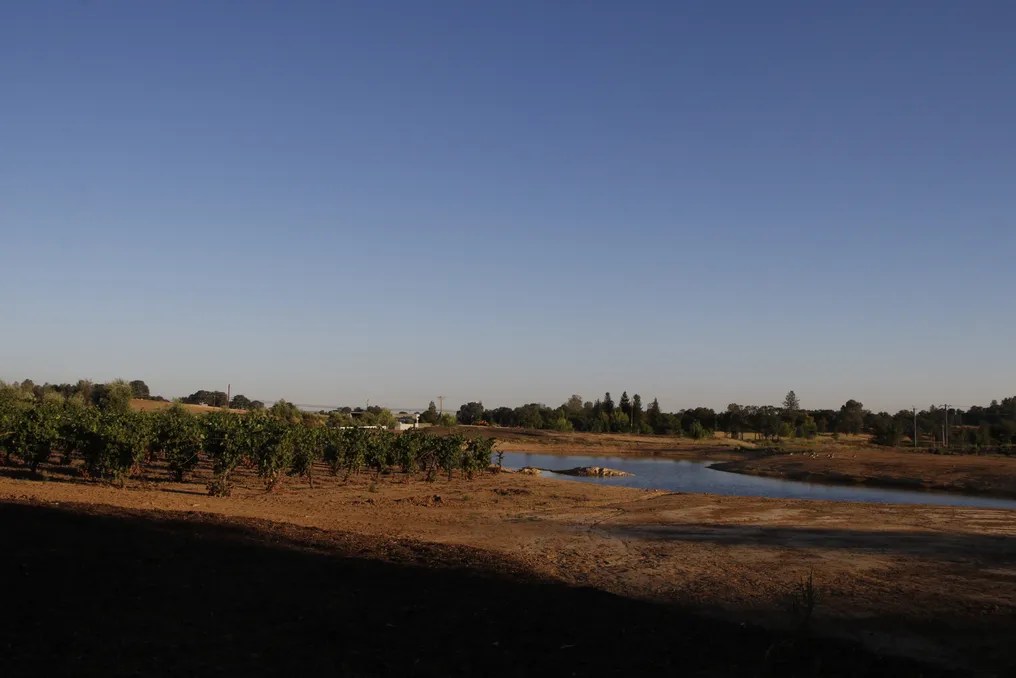 Serene Ranch #17