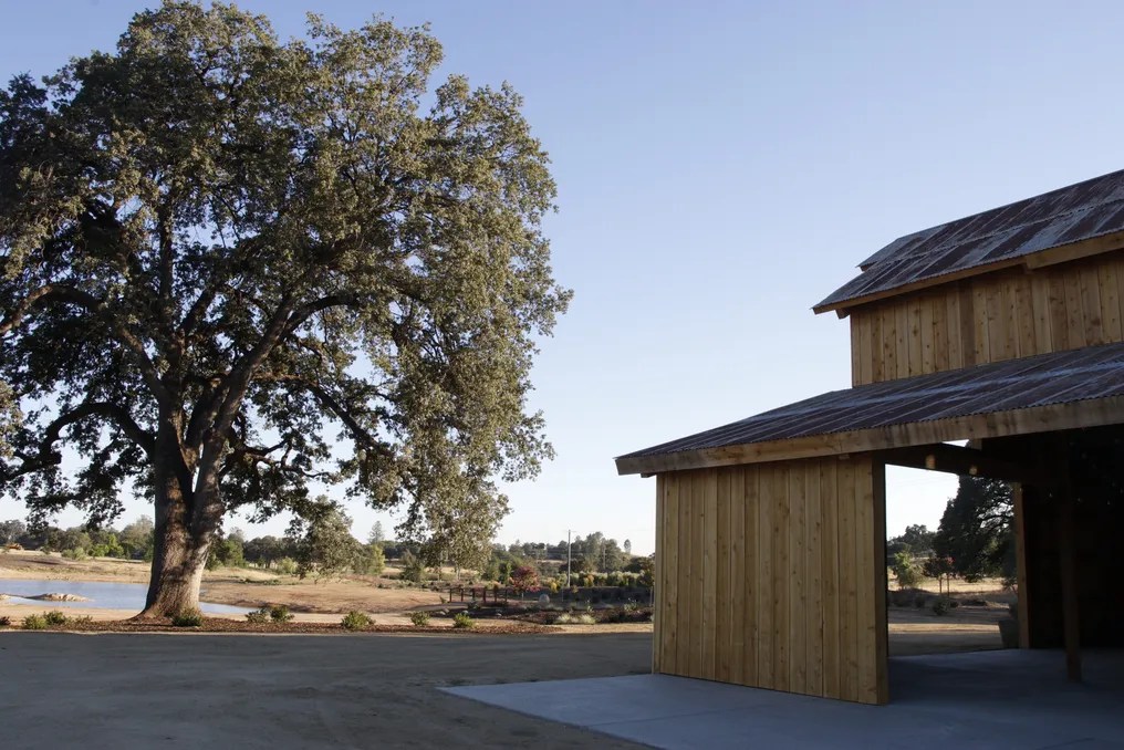 Serene Ranch #19