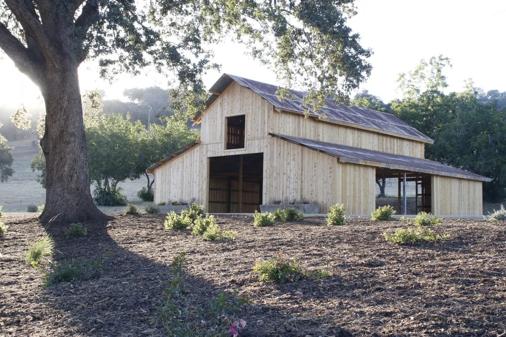 Serene Ranch #22