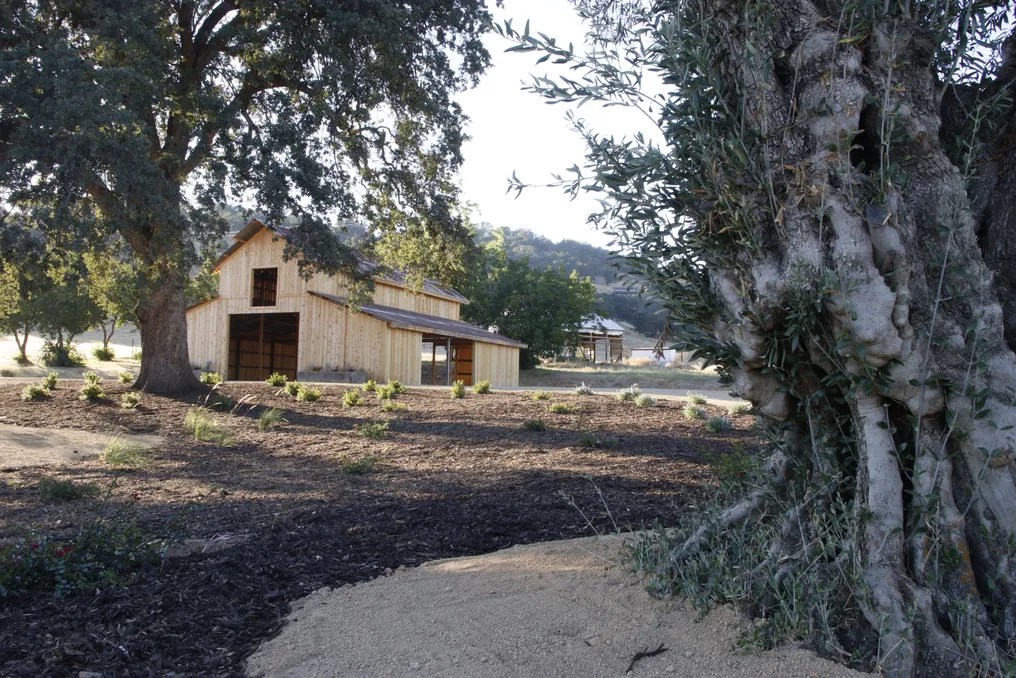 Serene Ranch #23