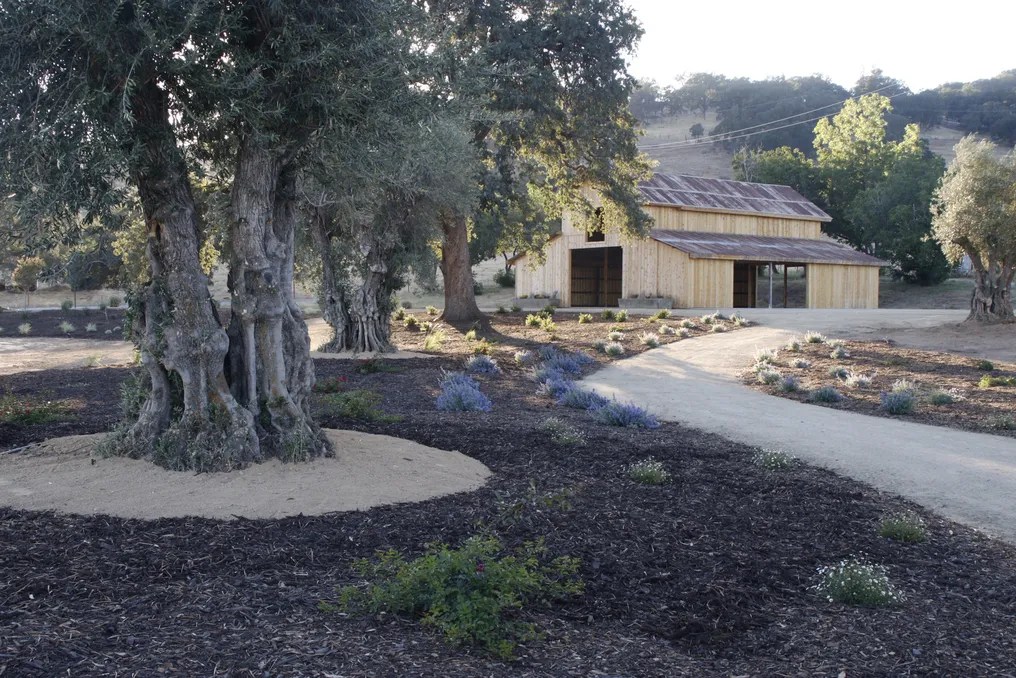 Serene Ranch #30