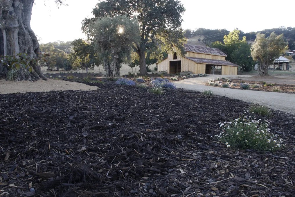 Serene Ranch #31