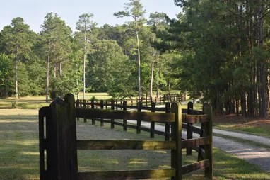 Shadow Wood Manor #18