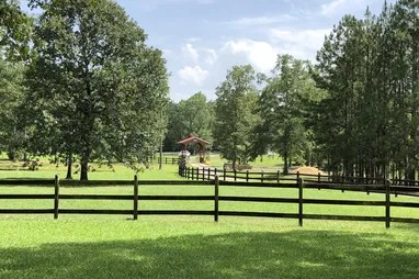 Shadow Wood Manor #20