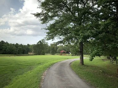 Shadow Wood Manor #24