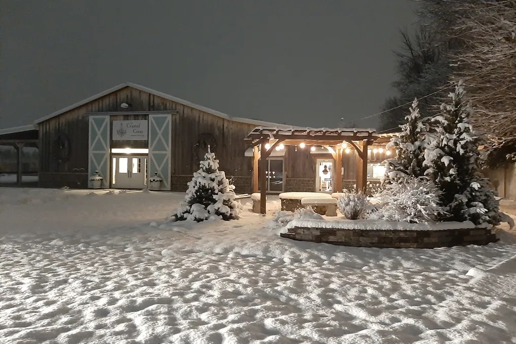 The Crystal Coop Reception & Event Center #5