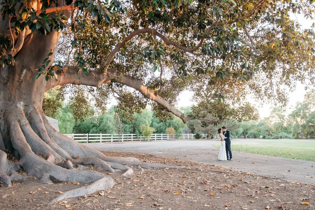 Camarillo Ranch #8