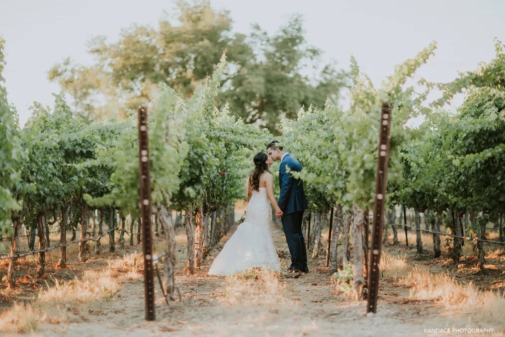 Palm Event Center in the Vineyard #7