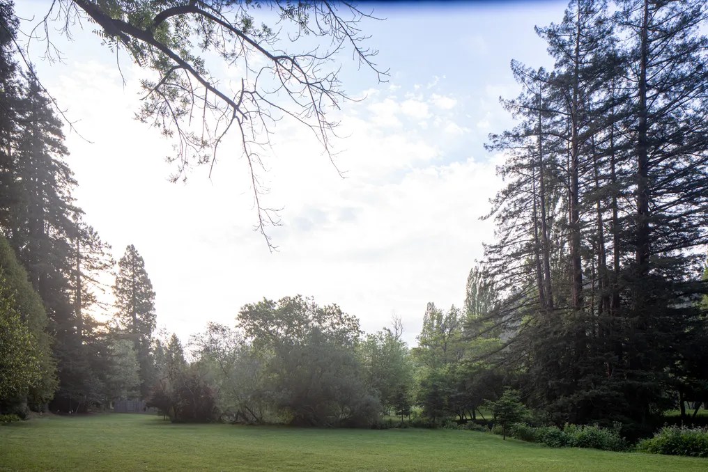 Dawn Ranch #6